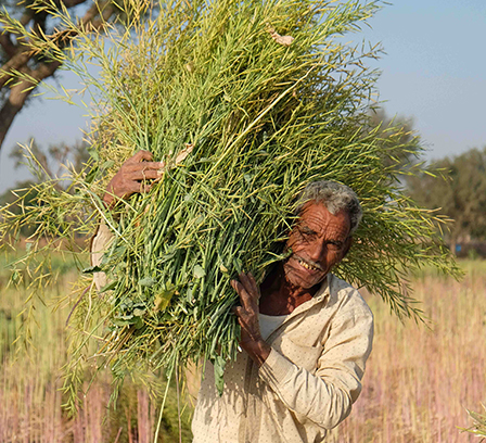 farmers empowerment