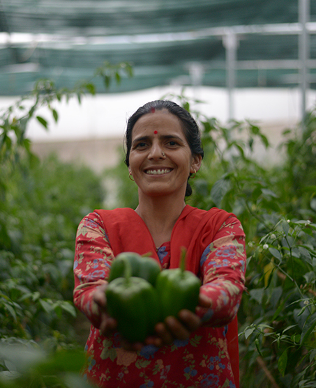 organic farming trainig