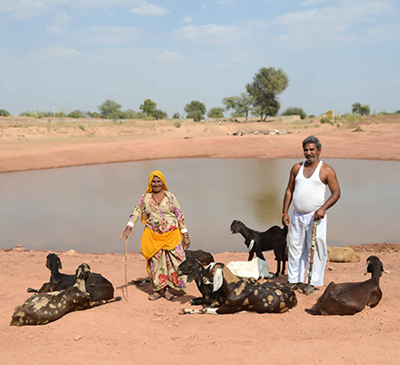 water use efficiency